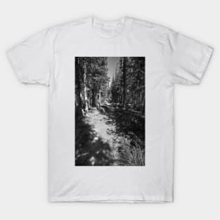 Glacier National Park Lake Wooded Path T-Shirt